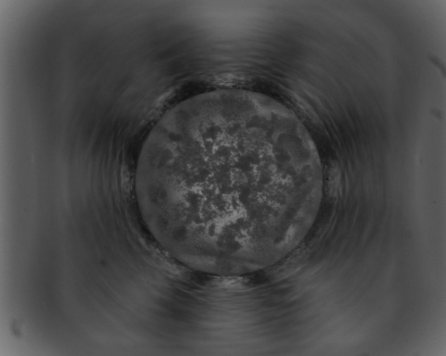 X0000093130569200710171310