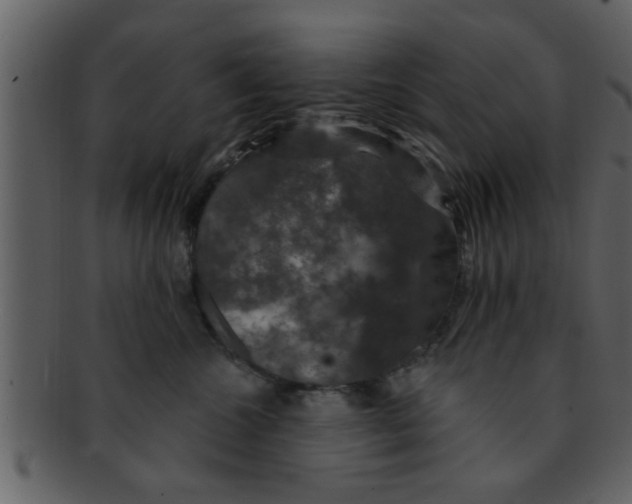 X0000093130572200710171310