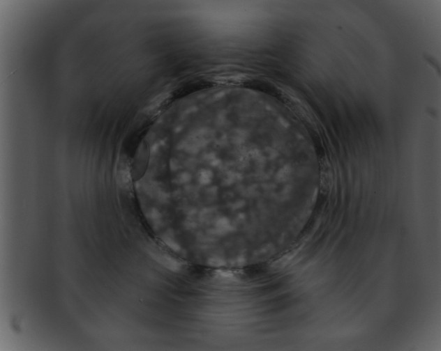 X0000093130573200710171310