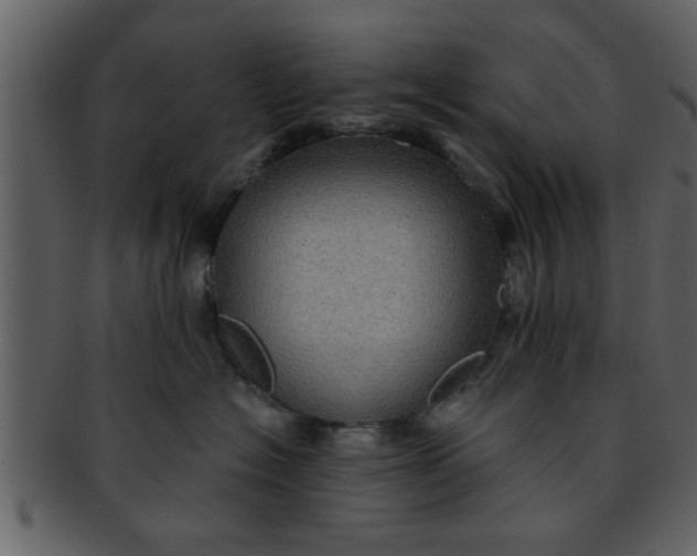 X0000093130574200710171310