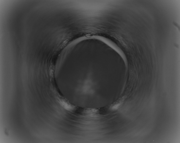 X0000093130576200710171310