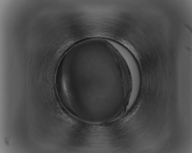 X0000093130577200710171309