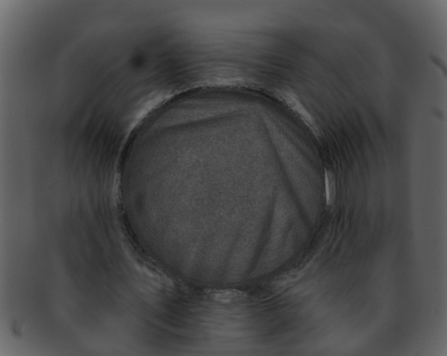 X0000093130579200710171309