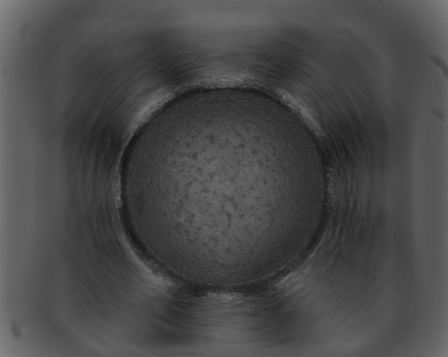 X0000093130582200710171309