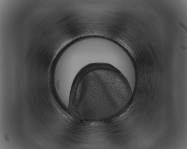 X0000093130584200710171309