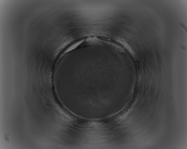 X0000093130585200710171309