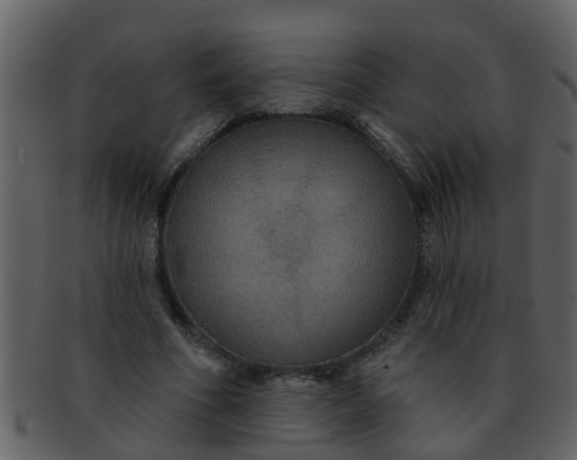 X0000093130586200710171309