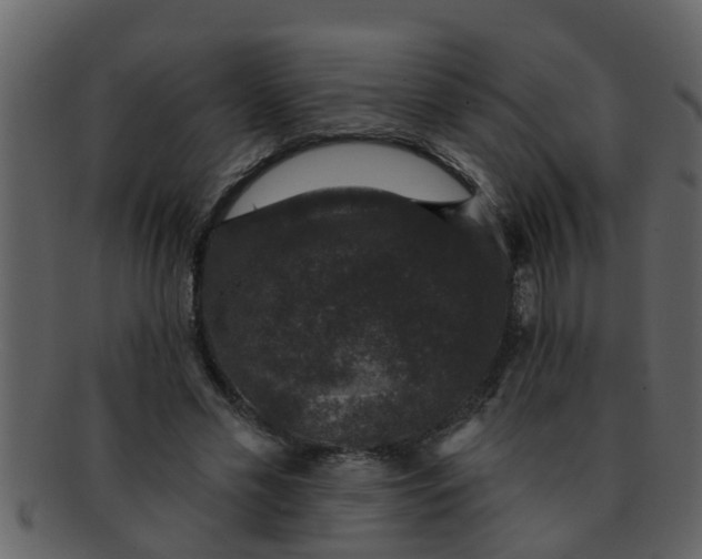 X0000093130589200710171309