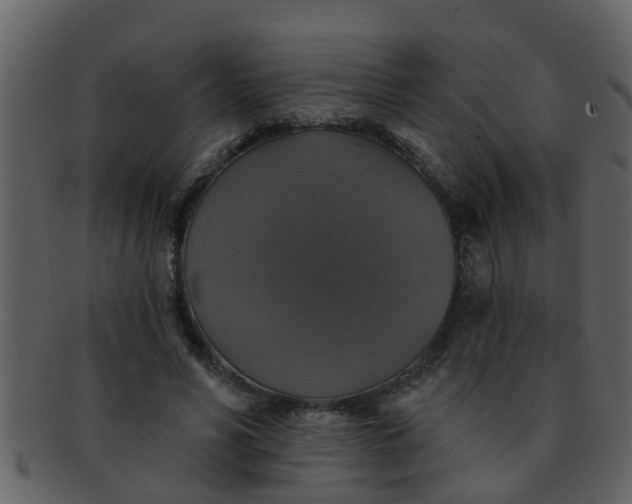 X0000093130590200710171309