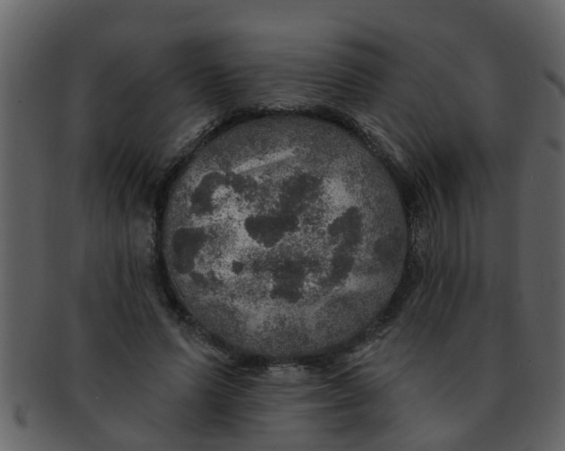 X0000093130591200710171309