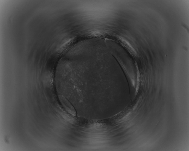 X0000093130593200710171309