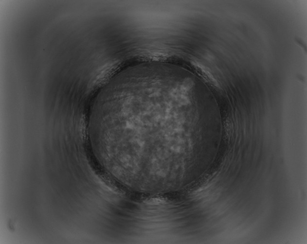 X0000093130594200710171309