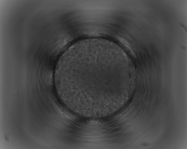 X0000093130596200710171309