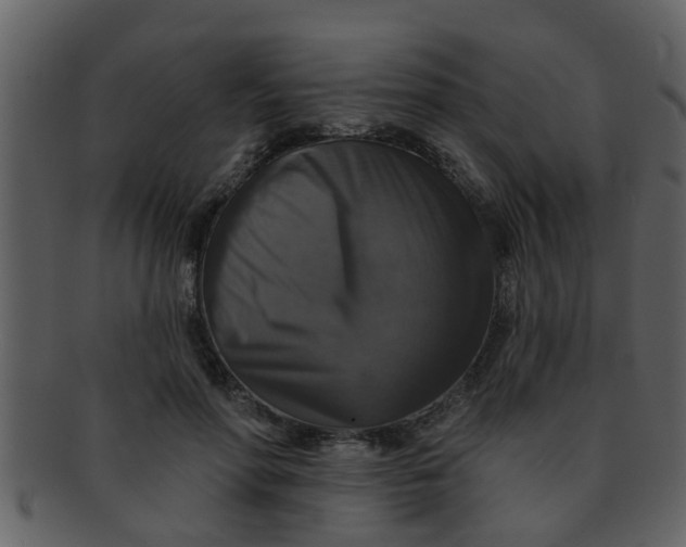 X0000093130598200710171309