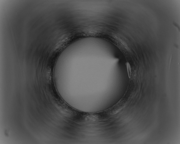 X0000093130599200710171309