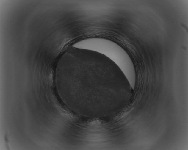 X0000093130600200710171309