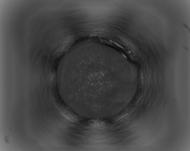 X0000093130601200710171309