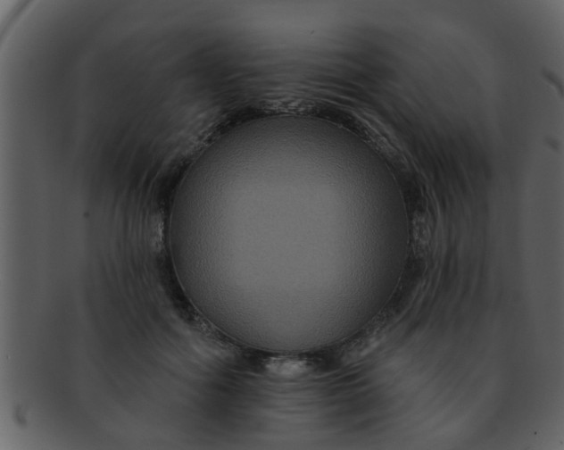 X0000093130602200710171309