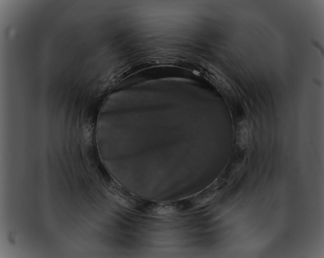 X0000093130604200710171309