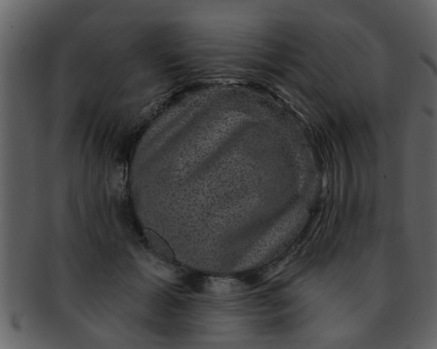 X0000093130605200710171309