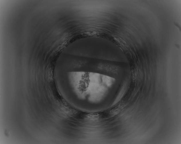 X0000093130606200710171309