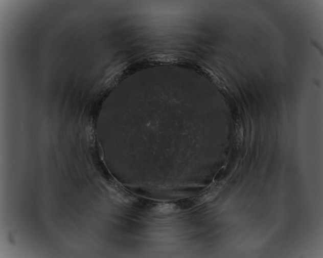 X0000093130609200710171309