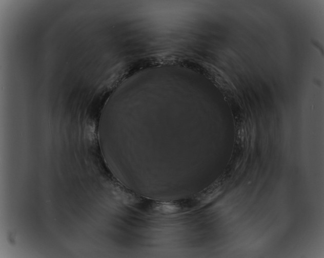 X0000093130610200710171309