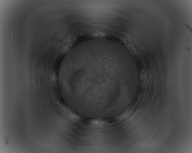 X0000093130614200710171308