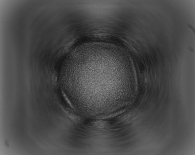 X0000093130615200710171308