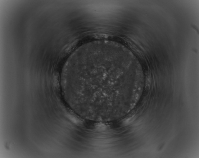 X0000093130616200710171308