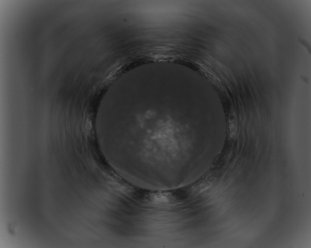 X0000093130618200710171308