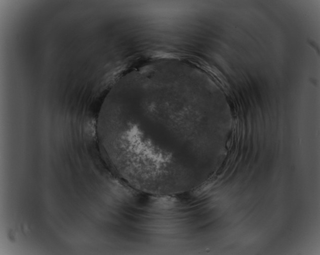 X0000093130621200710171308