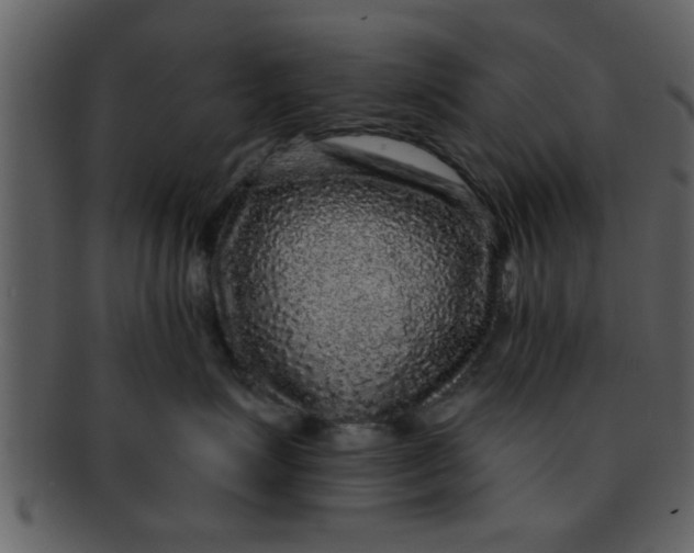 X0000093130623200710171308