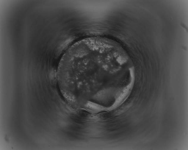 X0000093130624200710171308