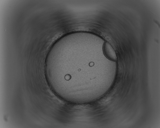 X0000093130625200710171308