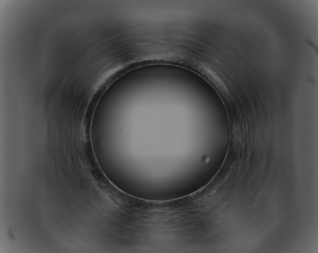 X0000093130628200710171308