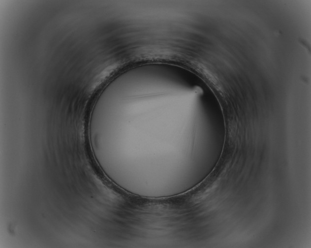 X0000093130629200710171308