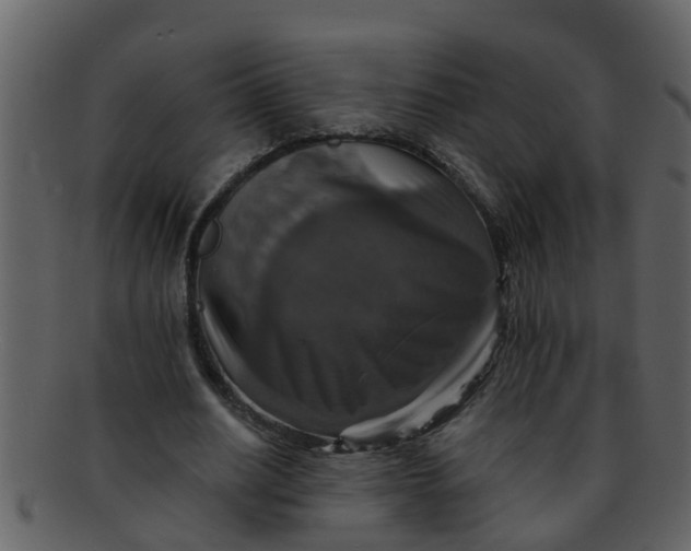 X0000093130630200710171308