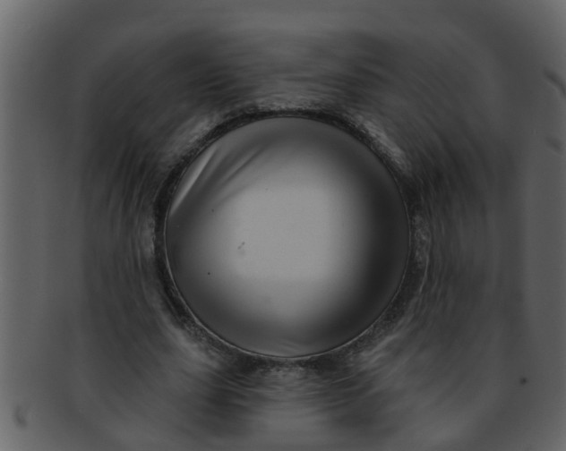 X0000093130631200710171308