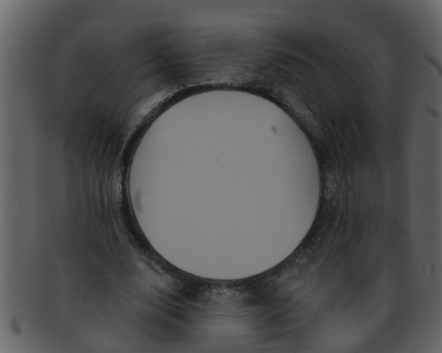 X0000093130632200710171308