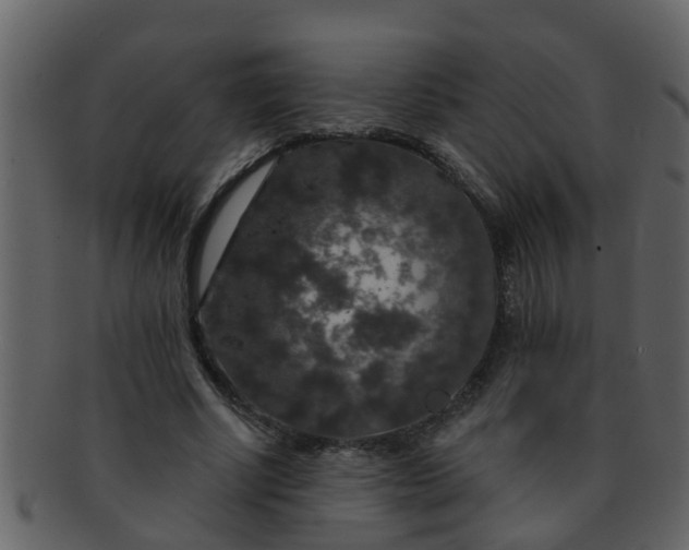 X0000093130634200710171308