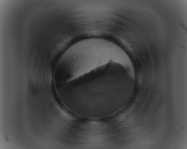 X0000093130637200710171308