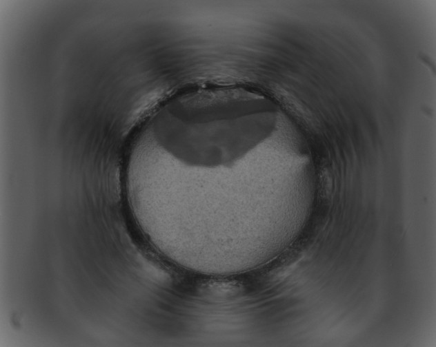 X0000093130638200710171308