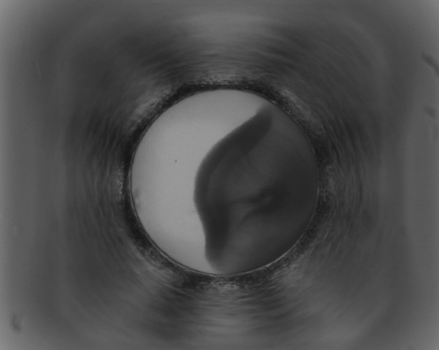 X0000093130640200710171308