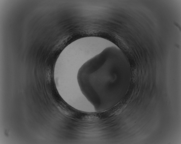 X0000093130644200710171308