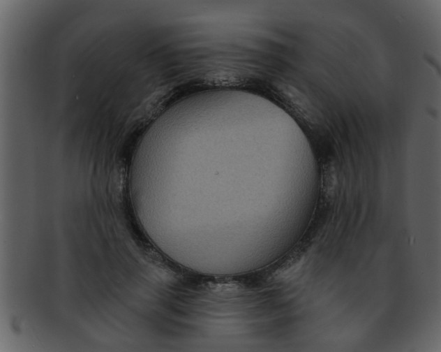 X0000093130645200710171308