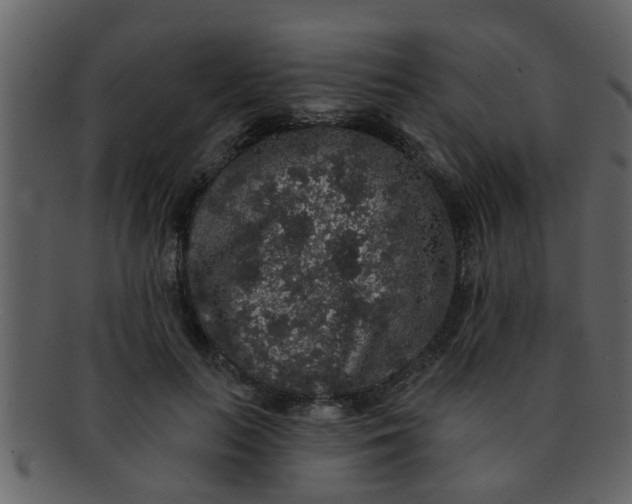 X0000093130647200710171308