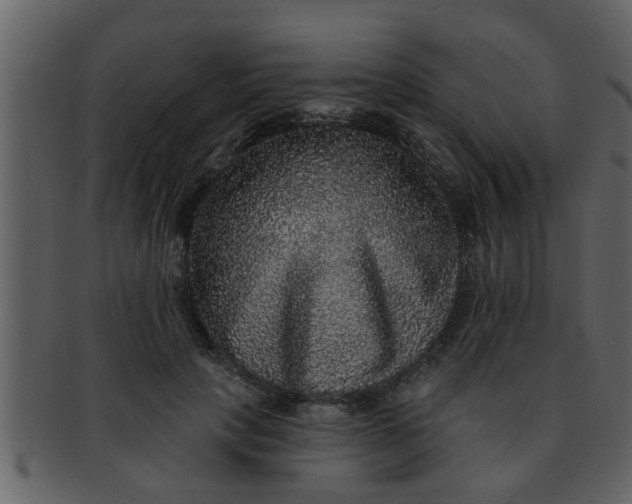 X0000093130649200710171308