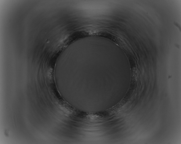 X0000093130650200710171308