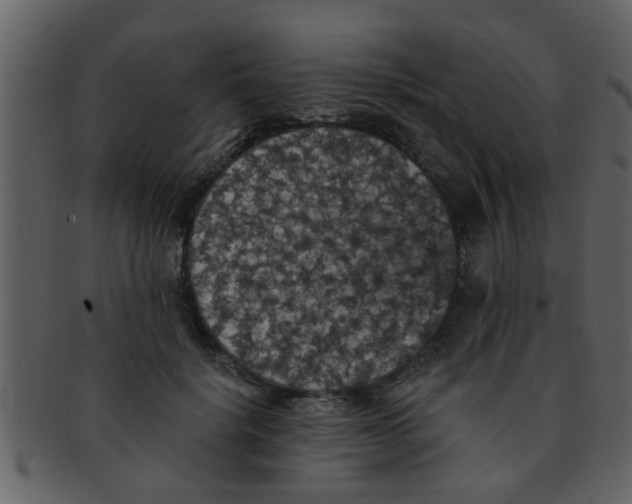 X0000093130652200710171308